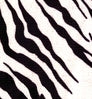 Velour Zebra color swatch — Velour Zebra