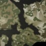 Neosupreme Kryptek color swatch — Camo Obskura Transitional