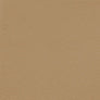 Genuine Leather color swatch — Beige