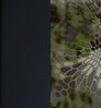Neosupreme Kryptek color swatch — Camo Altitude With Black Sides
