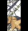 Neosupreme Mossy Oak color swatch — Break Up Winter Print with Black Sides