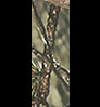 Neosupreme Mossy Oak color swatch — Break Up Country with Black Sides