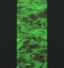 Neosupreme Mossy Oak color swatch — Elements Moray with Black Sides