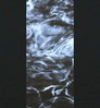 Neosupreme Mossy Oak color swatch — Elements Bluefin with Black Sides