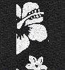 Neosupreme Designer Hawaiian color swatch — Black with Black Sides