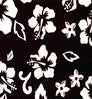 Velour Hawaiian color swatch — Black