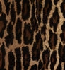 Velour Leopard color swatch — Velour Leopard