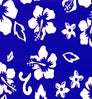 Velour Hawaiian color swatch — Blue