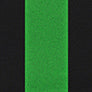 Neoprene color swatch — Synergy Green with Black sides