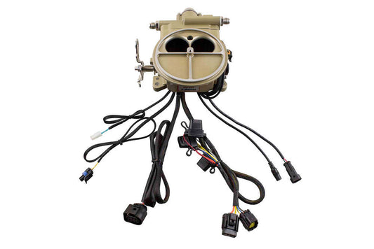 Fitech Fuel Injection Fuel Injection - Go EFI 2-Barrel - Throttle Body - Holley Flange - 55 lb/hr Injectors - Fittings