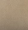 Carpet Premium Plush Nylon Light color swatch — Beige