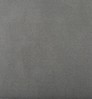 Carpet Premium Plush Nylon Light color swatch — Gray