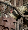 Neosupreme Mossy Oak color swatch — Break Up Infinity Solid