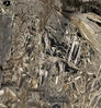 Neosupreme Mossy Oak color swatch — Duck Blind Solid