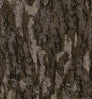 Neosupreme Mossy Oak color swatch — Bottomland Solid