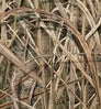 Neosupreme Mossy Oak color swatch — Shadow Grass Blades Solid