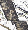 Neosupreme Mossy Oak color swatch — Break Up Winter Print Solid
