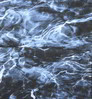 Neosupreme Mossy Oak color swatch — Elements Bluefin Solid