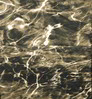 Neosupreme Mossy Oak color swatch — Elements Bronzeback Solid