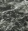 Neosupreme Mossy Oak color swatch — Elements Blacktip Solid