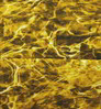 Neosupreme Mossy Oak color swatch — Elements Yellowfin Solid
