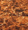 Neosupreme Mossy Oak color swatch — Elements Sunset Solid
