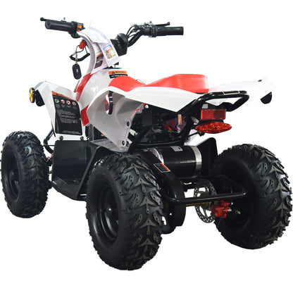 MotoTec E-Bully 36V 1000W ATV White - view 10