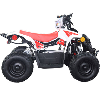 MotoTec E-Bully 36V 1000W ATV White - view 8