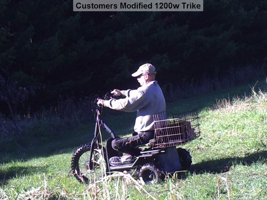 MotoTec Electric Trike 48V 1200W - view 2