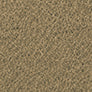Poly Carpet color swatch — Beige