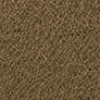Poly Carpet color swatch — Tan