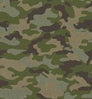 Neosupreme Designer color swatch — Camo Traditional Jungle Solid