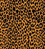 Neosupreme Designer Cheetah Solid color swatch — Neosupreme Designer Cheetah Solid