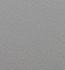 Premium Leatherette Light color swatch — Gray