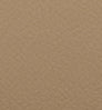 Premium Leatherette Cashmere color swatch — Premium Leatherette Cashmere