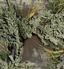 Neosupreme Realtree Max-1 color swatch — Neosupreme Realtree Max-1