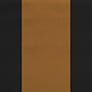 Satin Stretch 2-Tone Hertz color swatch — Gold with Black sides