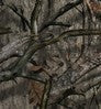 Velour Mossy Oak Trees color swatch — tands