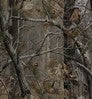 Velour Realtree AP color swatch — Velour Realtree AP